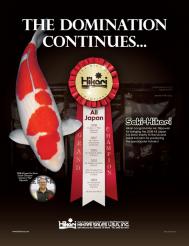 corn syrup kills平面设计作品欣赏