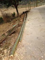 编织教程图解【图文】 竹篱笆