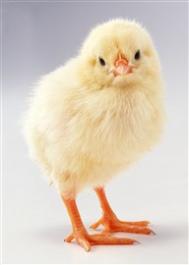 孩子爱管闲事怎么办