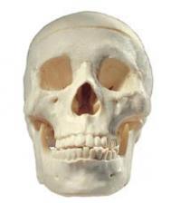 出水痘能吃什么