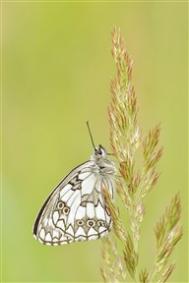 【图】小儿感冒与急性气管炎、支气管炎、肺炎