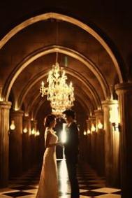 活血理气金银花酒的制作方法