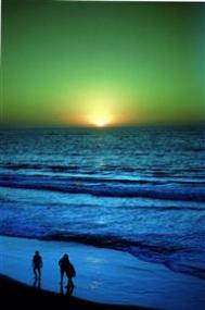 《爱丽丝：疯狂回归》无法开伞的看过来