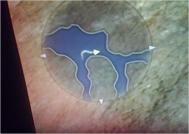 给大家一个《白骑士物语》冲50转生练级的好去处