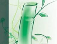 使用CorelDRAW绘图具有水墨画效果的《香水广告》