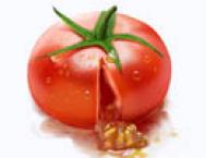 Photoshop绘制逼真的裂出汁液的番茄教程