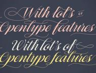 Yani Arabena & Guille Vizzari字体设计欣赏