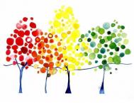 甜“点”：Angela Vandenbogaard水彩插画