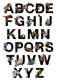 古典绘画型字体设计