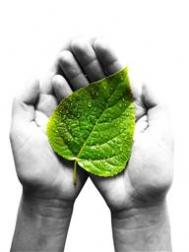 PHP和正则表达式教程集合之二