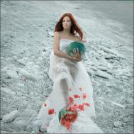 Ulf Hedhinn摄影作品