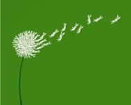 Heng Swee 插画作品欣赏