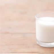 牛奶炖香菇怎么样