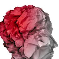 儿童透明隔间腔增宽