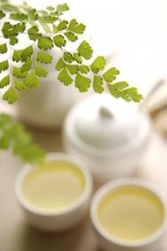 副乳手术在哪个科室做