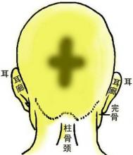 骨相图解：金锁十字骨
