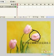 Flash教程：送给初学者的一点使用技巧 (1)