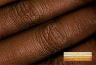 《Tabacaria Reis 雪茄广告设计》