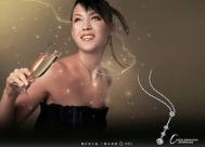 《精美钻石经典广告设计》