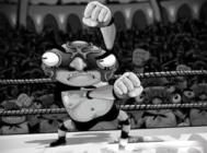 [LAprodco和Argyle兄弟摔跤]欣赏