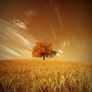 美得让人窒息的风景图[79P]