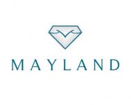 标志设计元素运用实例：钻石