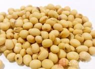 十勤助你颐养天年