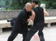 陈式太极拳 如何去理解胸腹折叠运开合