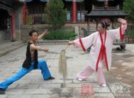 陈式太极拳 陈式太极拳击技的技术分析