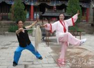 太极拳视频 赵堡太极拳右白鹤亮翅教学