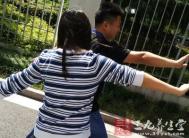 太极拳视频 太极的五大功夫理论如何学