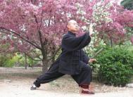 太极拳视频 论太极擒拿在对战中的应用