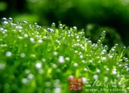 不良生活导致阴囊坠胀