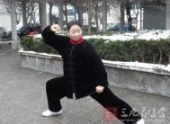 太极拳视频 85式杨式太极拳重点点拨之一