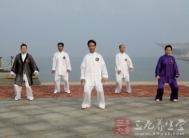 太极拳视频 陈氏老架一路青龙出水教学