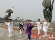 太极拳视频 意念在太极中的地位与作用