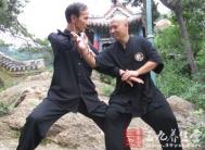 太极拳视频 陈式太极百把气功桩练习法