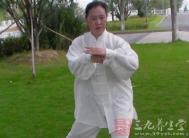 太极拳视频 练习陈式炮捶锻炼八大要领