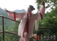 太极拳视频 陈氏老架一路当头炮教学