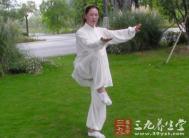42式太极 开胯与松胯动作要领