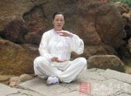 太极拳视频 陈氏老架一路踢二起教学