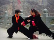 孙氏太极拳97式拳谱 全套动舒缓轻灵