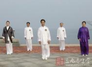 太极拳视频 陈氏老架一路拗步教学