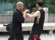 太极拳视频 武式太极拳的折叠之术