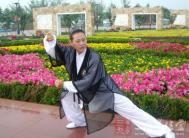 太极拳教程 刚柔二劲如何把握