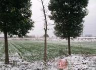 用好一条热毛巾 做定寒冬嫩美人