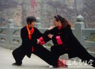 太极拳视频 张占永演练侯氏太极拳拳架套路