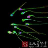 娇嫩精子经不起男人这样子折腾