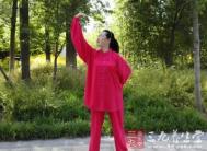 太极拳视频 身备五张弓之双臂弓的特点