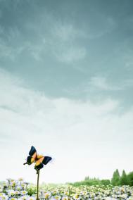 吃鸡爪对我们的好处